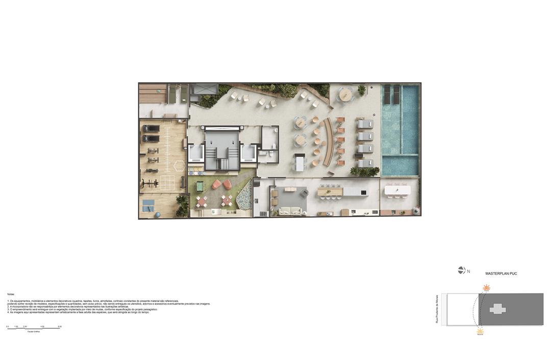 planta 7